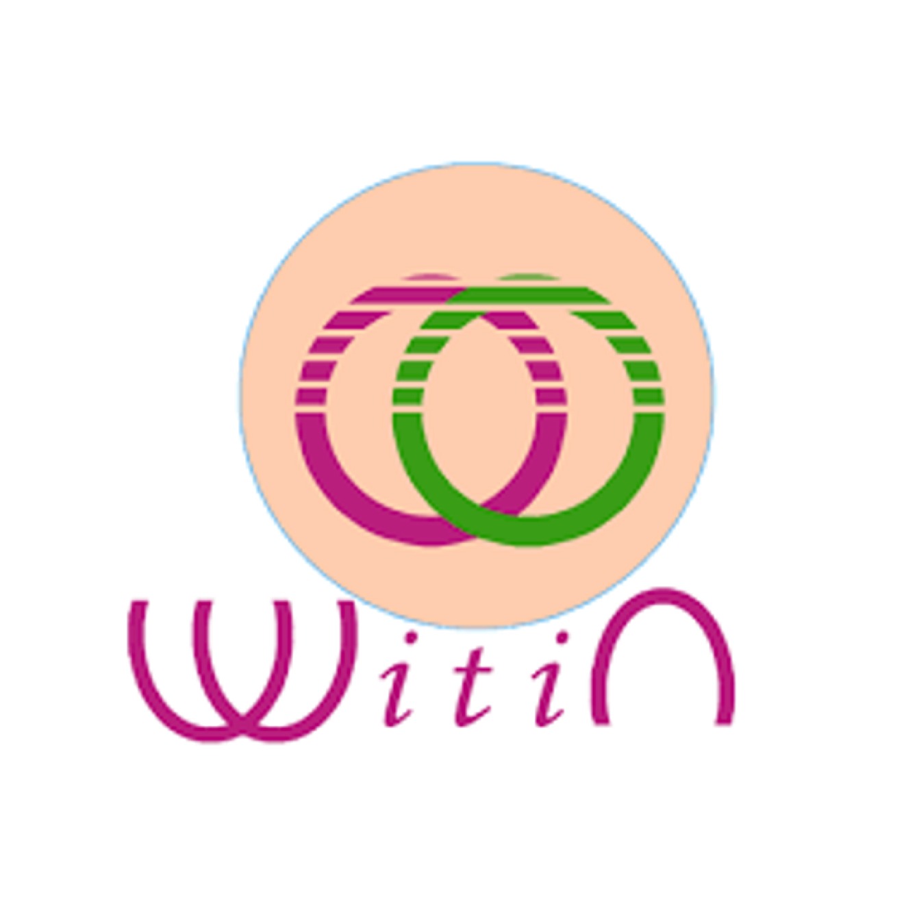 witin_partners_dnsafrica_ngdnsforum